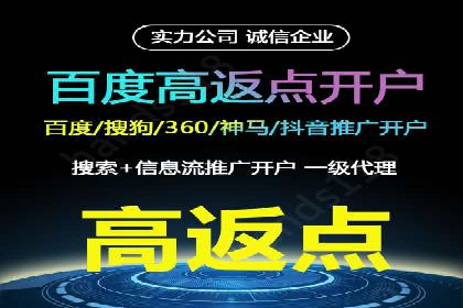 搜索引擎营销（SEM）推广策略案例分享